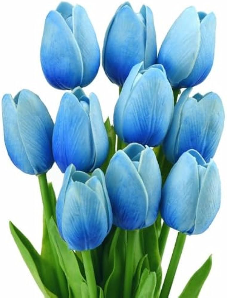 Sky Blue Tulip Flower Seeds for Planting – Heirloom, Non-GMO, Vibrant Blooms for planting in your garden.
