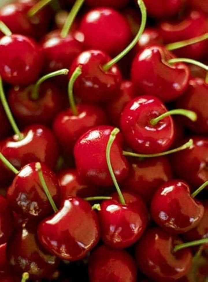 Barry’s Cherry Fruit Seeds for Cultivating Sweet, Juicy Cherries