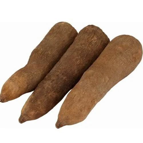 Brown Yam