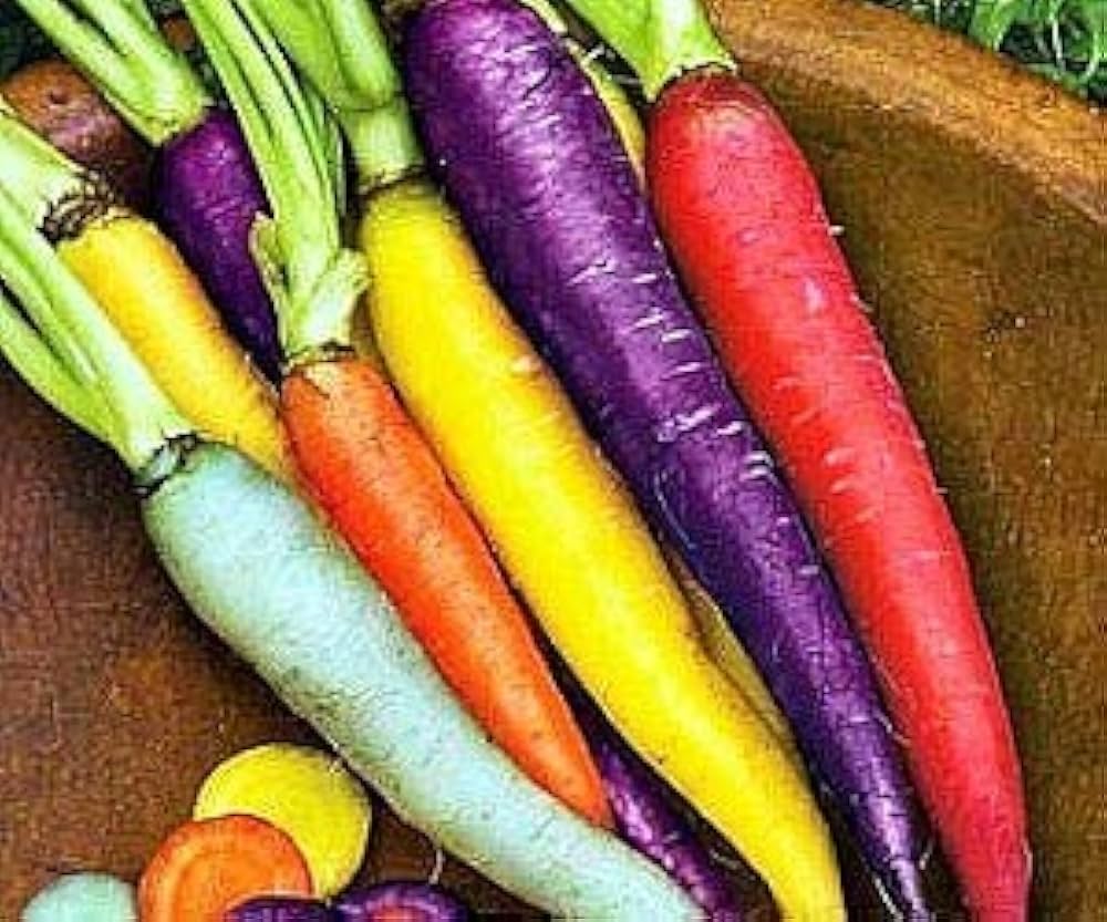 Carrot Daucus Carota Rainbow Sweet Vegetable Seeds for Planting – Colorful Carrot Seeds for Backyard Gardening and Fresh Harvests