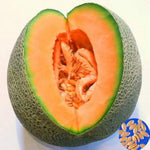 Honey Melon Orange Loupe Cantaloupe Seeds
