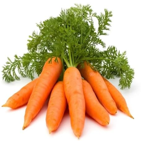 Orange Carrot - Heirloom, Non - Gmo Seeds