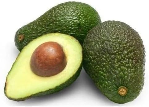Green Avocado - Heirloom, Non - Gmo Seeds