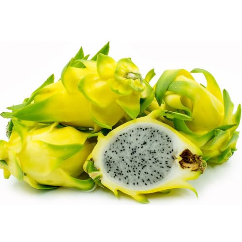 Dragon Fruit Yellow - Heirloom, Non - Gmo Seeds