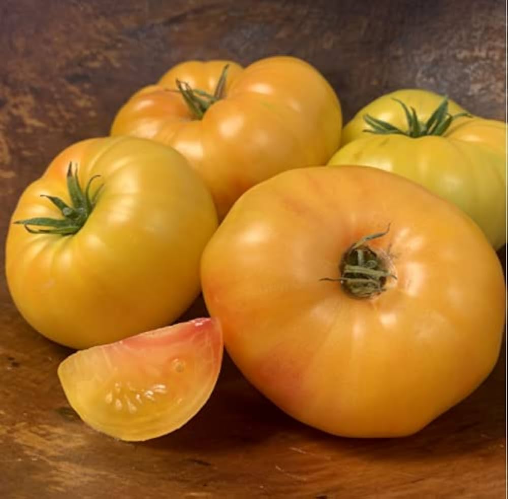 Heirloom organic orange golden garden tomato seeds