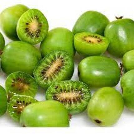 Kiwi Fruit Green - Heirloom, Non - Gmo Seeds
