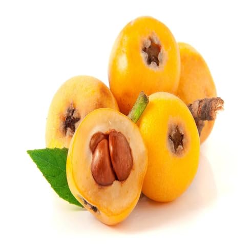 Yellow Loquat Fruit