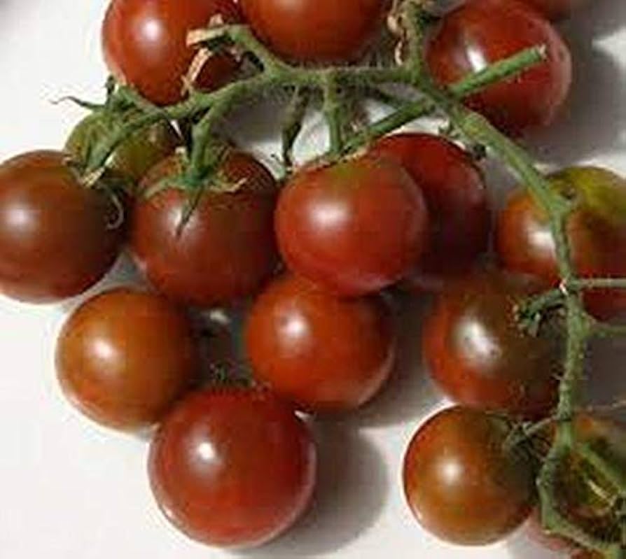 Brown Flesh Organic Tomato Seeds – Heirloom, Richly Flavored Tomatoes for Your Garden