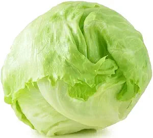 Lettuce Lactuca sativa Iceberg vegetable seeds for planting in kitchen garden or backyard raised beds