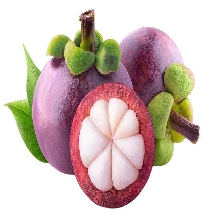Mangosteen Fruit - Heirloom, Non - Gmo Seeds