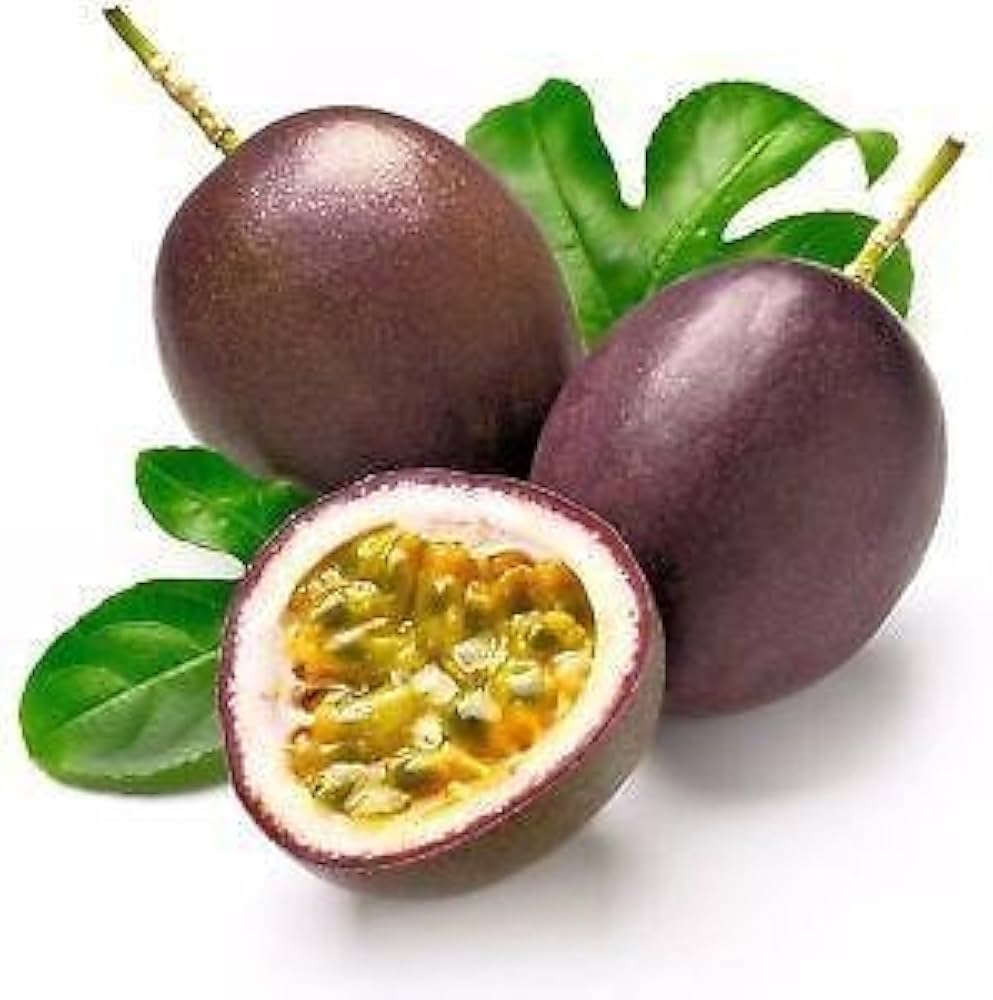 Fruit Mixed Species Sweet Seeds for Planting – Ideal for Edible Landscaping and Home Garden Variety Packs