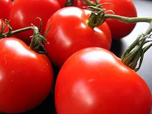 Creole Tomato Solanum lycopersicum Seeds for Planting in Vegetable Patch & Home Garden
