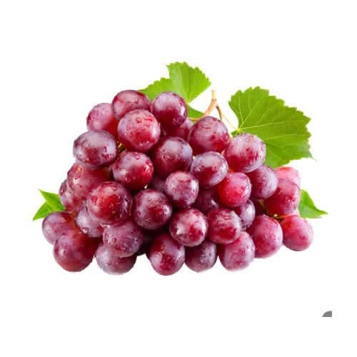 Miniature Grape Fruit Citrus paradisi dark pink seeds for planting in home garden