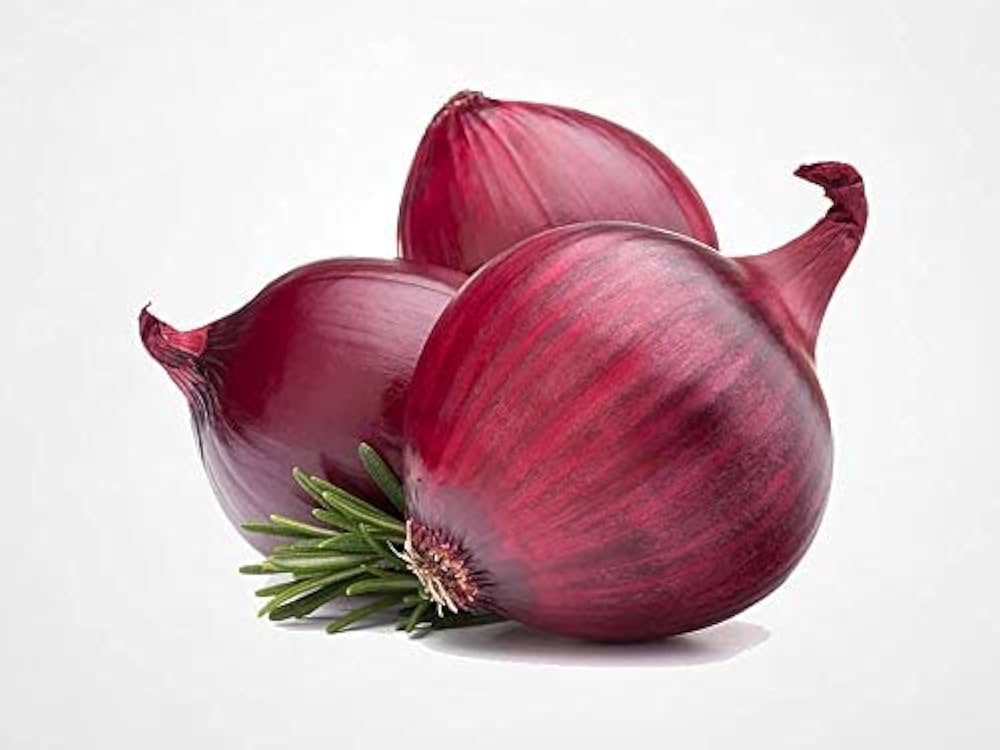Onion Allium Cepa Red Grano Texas Vegetable Seeds for Planting – Suitable for Southern Climates and Backyard Gardening
