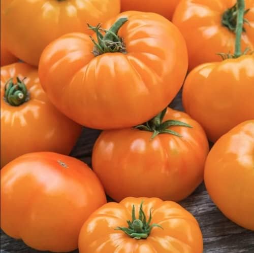 Sweet Orange Tomato Solanum lycopersicum Seeds for Planting for Vegetable Patch and Home Garden