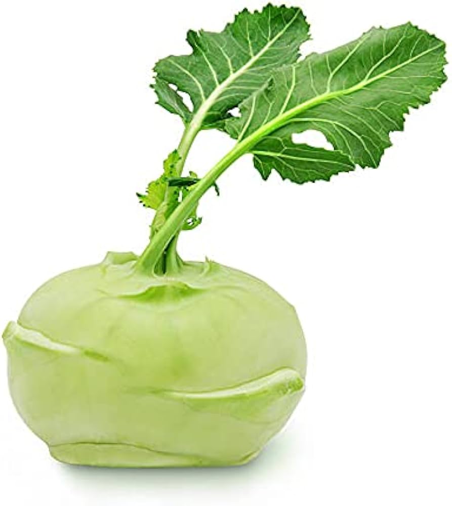Early White Vienna Kohlrabi Seeds ,pcs Bulk