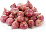 Spring Onion Shallot – Allium cepa – for planting in home garden