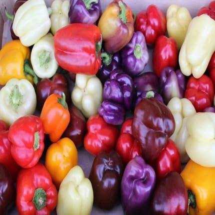 Mixed Pepper - Heirloom, Non - Gmo Seeds
