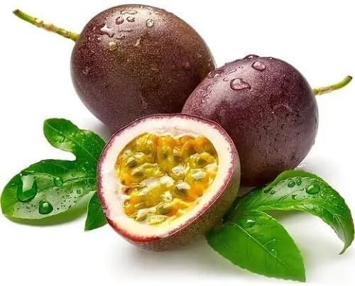 Maroon Passiflora Edulis Fruit - Heirloom, Non - Gmo Seeds