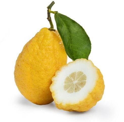 Yellow Etrog Fruit - Heirloom, Non - Gmo Seeds