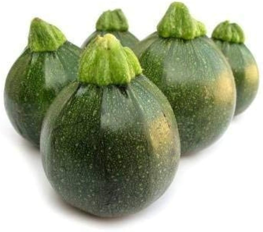 Summer squash – pumpkin seeds for planting in garden