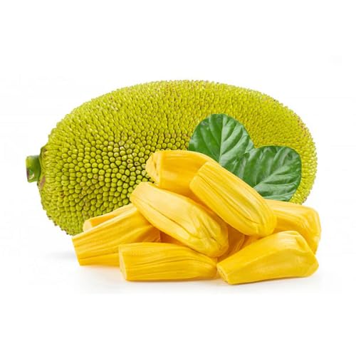 Green Jackfruit - Heirloom, Non - Gmo Seeds