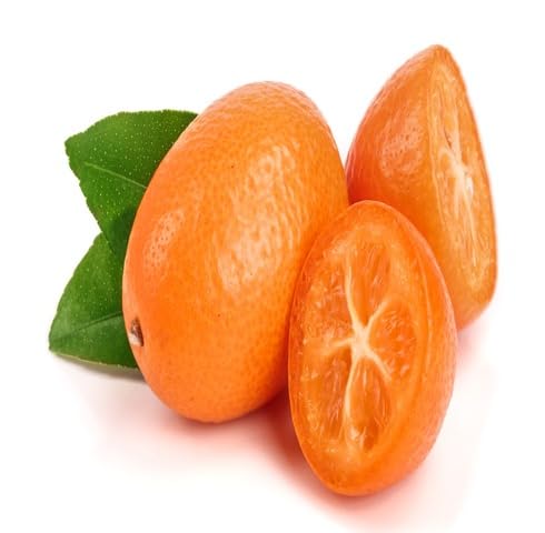 Orange Kumquat Fruit - Heirloom, Non - Gmo Seeds