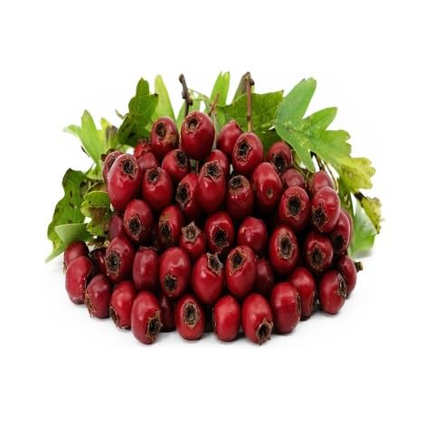 Red Hawthorn Fruit - Heirloom, Non - Gmo Seeds
