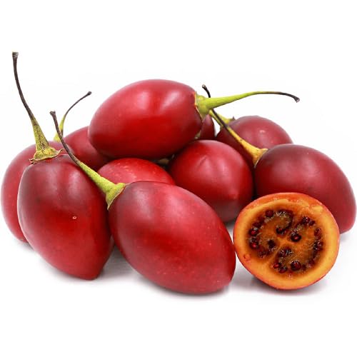 Red Tamarillo Fruit - Heirloom, Non - Gmo Seeds
