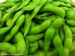 Edamame Soybean Glycine max seeds for garden planting
