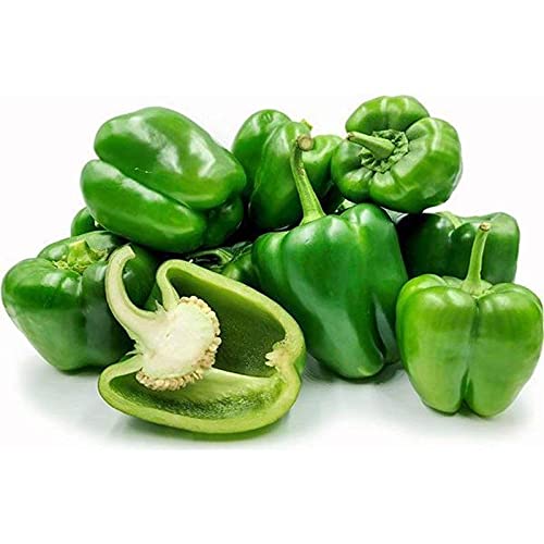 Pepper Capsicum annuum Vegetable Seeds for Planting in Vegetable Patch and Garden