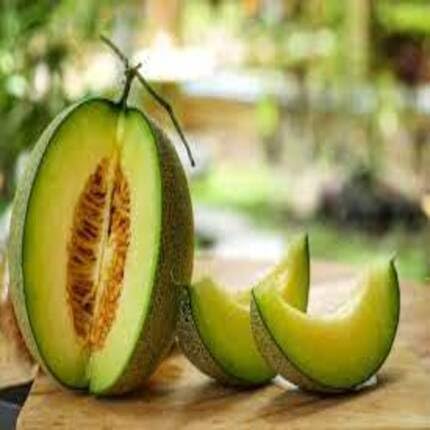 Green Musk Melon Fruit - Heirloom, Non - Gmo Seeds