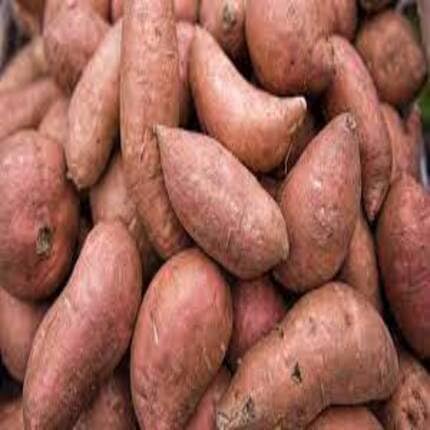 Sweetpotato Brown - Heirloom, Non - Gmo Seeds