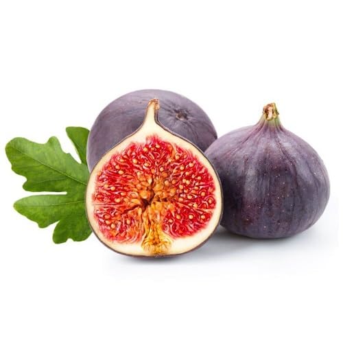 Purple Fig Fruit - Heirloom, Non - Gmo Seeds