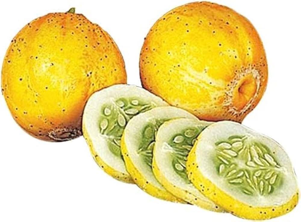 Lemon Cucumber Cucumis sativus seeds for garden planting