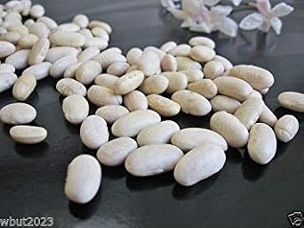Great Northern Beans Nongmo Heirloom Heirloom Non Gmo Image