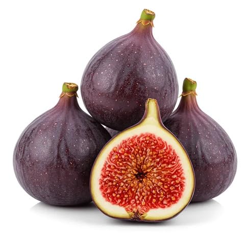 Red Fig Fruit - Heirloom, Non - Gmo Seeds
