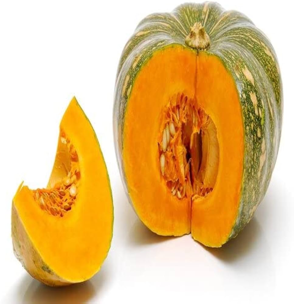Zapallo Plomo Seeds for Planting Cucurbita Maxima heirloom garden fall harvest