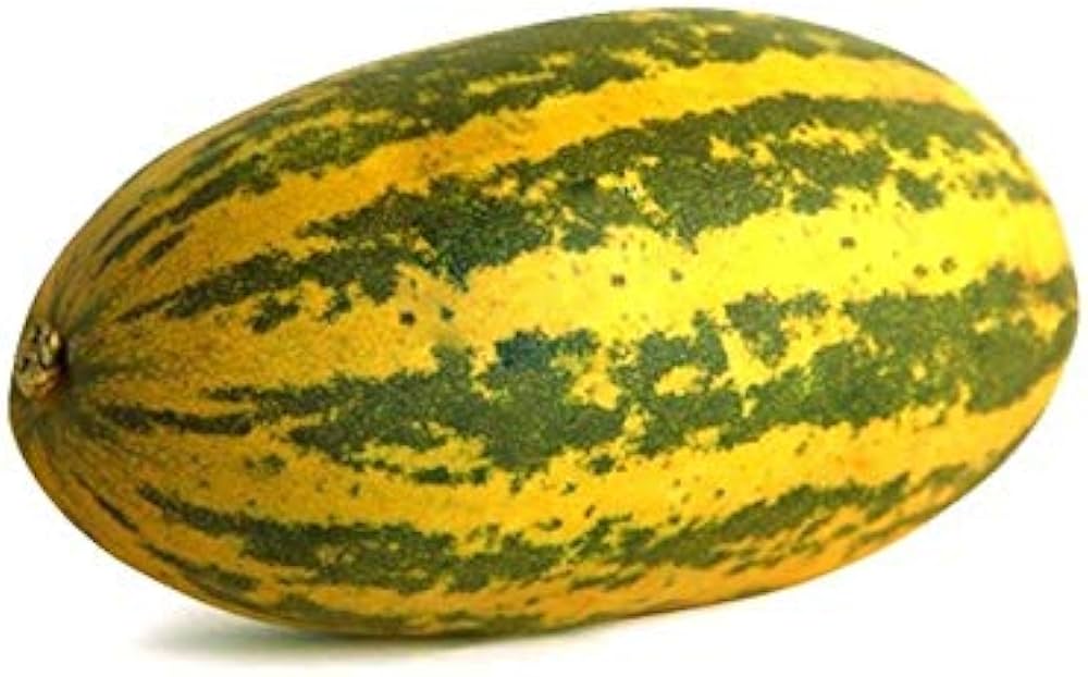 Chinese yellow cucumber seeds for heirloom vegetable gardening