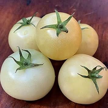 Cream Tomato Seeds for Planting