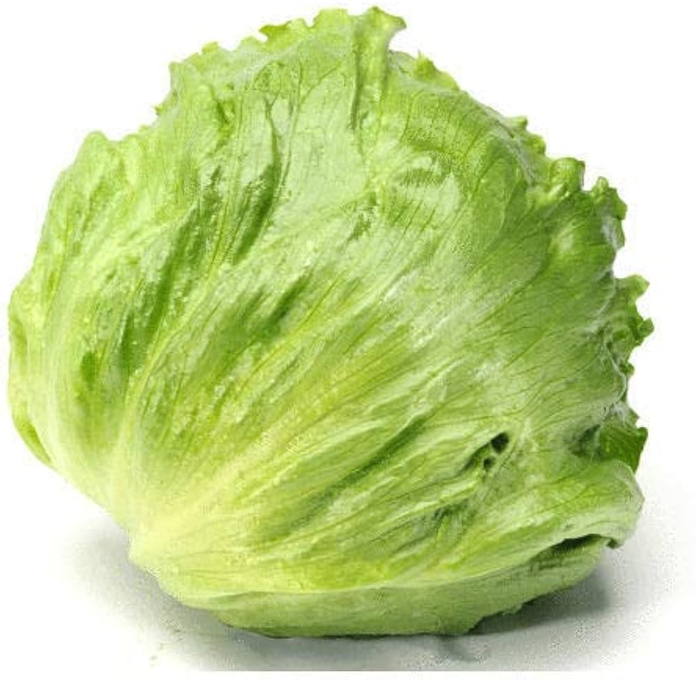 Lettuce Lactuca Sativa Cream Leafy Vegetable Seeds for Planting – Perfect for Balcony Garden and Kitchen Use