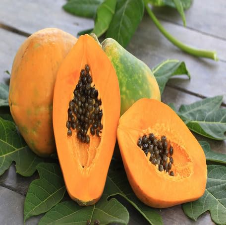 Orange Papaya Fruit - Heirloom, Non - Gmo Seeds