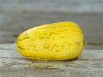 Asian Rare Mela Melone Seeds