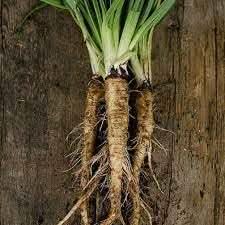 Suttons Vegetable Seeds for Planting