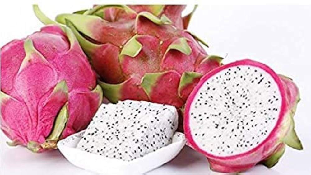 Pitaya (Dragon Fruit) Seeds (Sky Blue) – Fresh Fruit Seeds for Planting