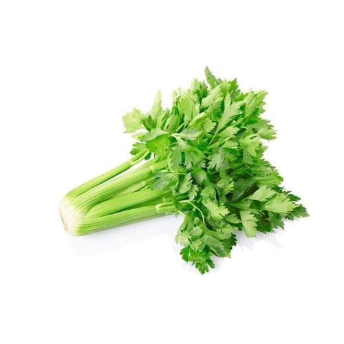 Green Celery - Heirloom, Non - Gmo Seeds