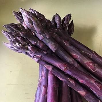 Purple Asparagus Seeds for Planting