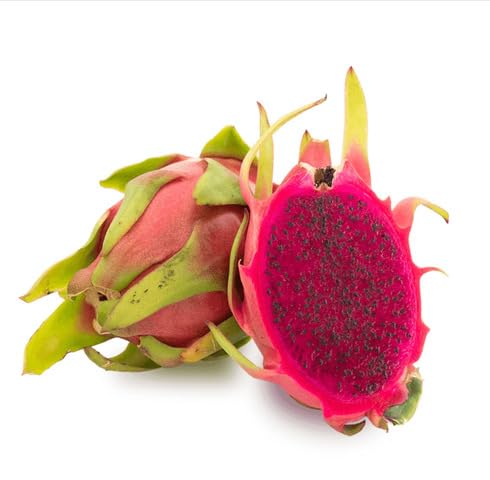 Pink Pitaya Fruit