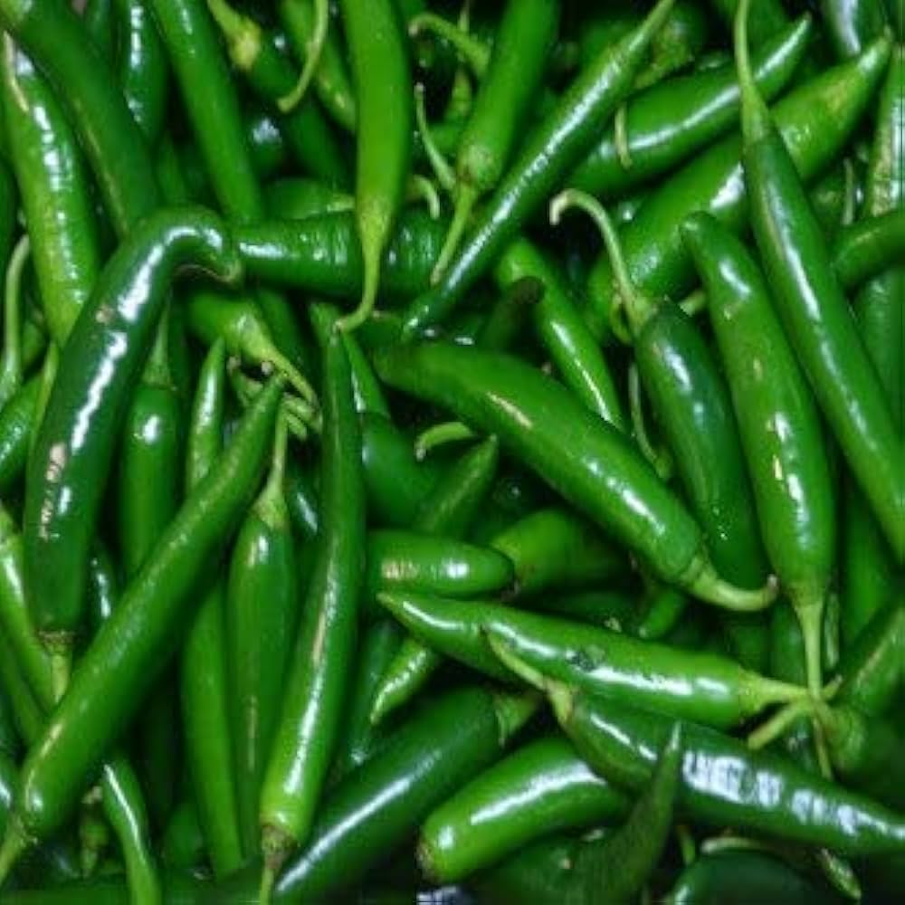 Pepper Capsicum Annuum Burning Bush Hot Vegetable Seeds for Planting – Ideal for Spicy Kitchen Garden and Container Growing