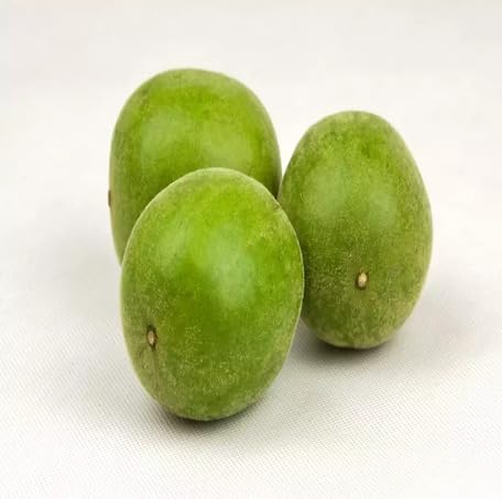 Green Monkfruit